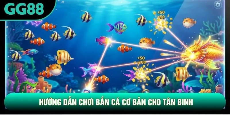Hướng dẫn chơi bắn cá cơ bản cho tân binh