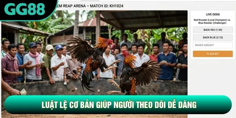 Luật lệ cơ bản giúp người theo dõi dễ dàng